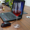 METIS wholesale unbreakable good quality plastic 350ml red wine glasses