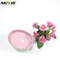 Wholesale cheap food container 2 compartment wheat straw fiber lunch box